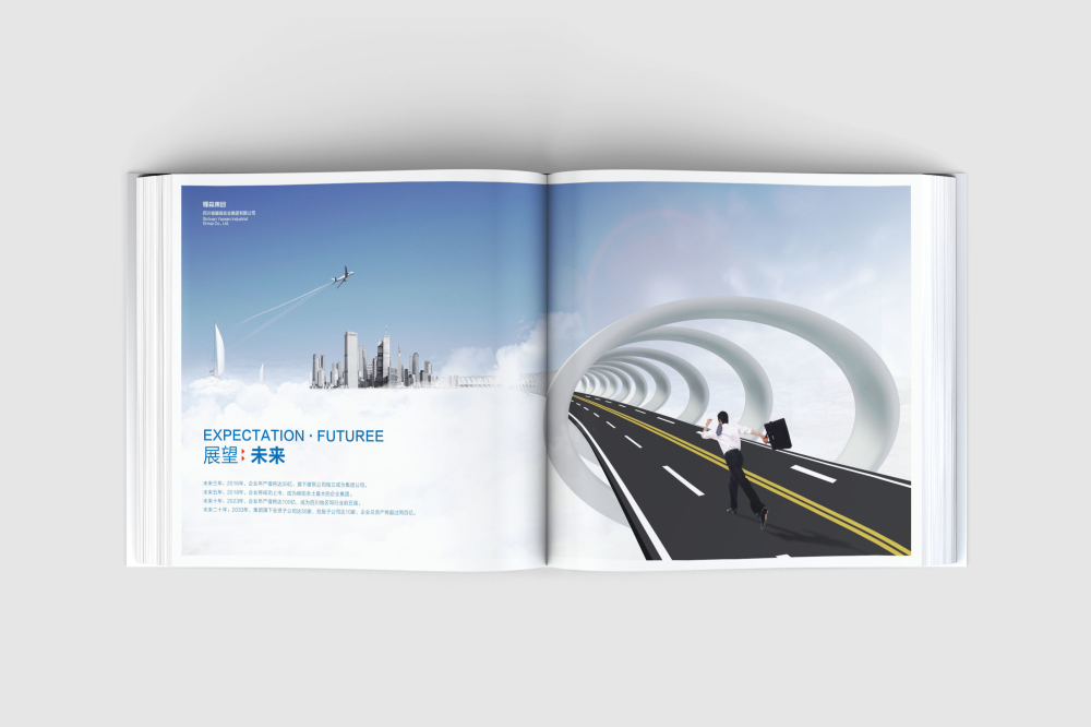 南雄市画册设计